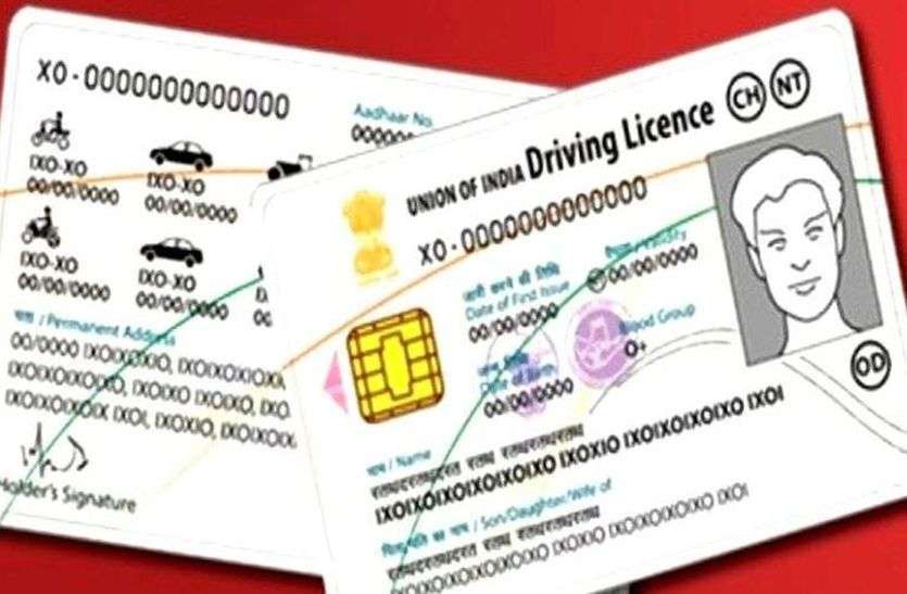 driving license news