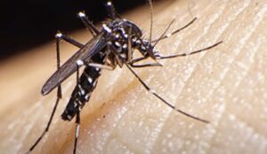 कर्नाटक में 5 साल की बच्ची में Zika virus संक्रमण की पुष्टि हुई