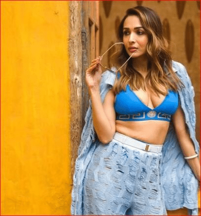 Arjun kapoor malaika arora न्यू ईयर सेलिब्रेशन की फोटो शेयर की